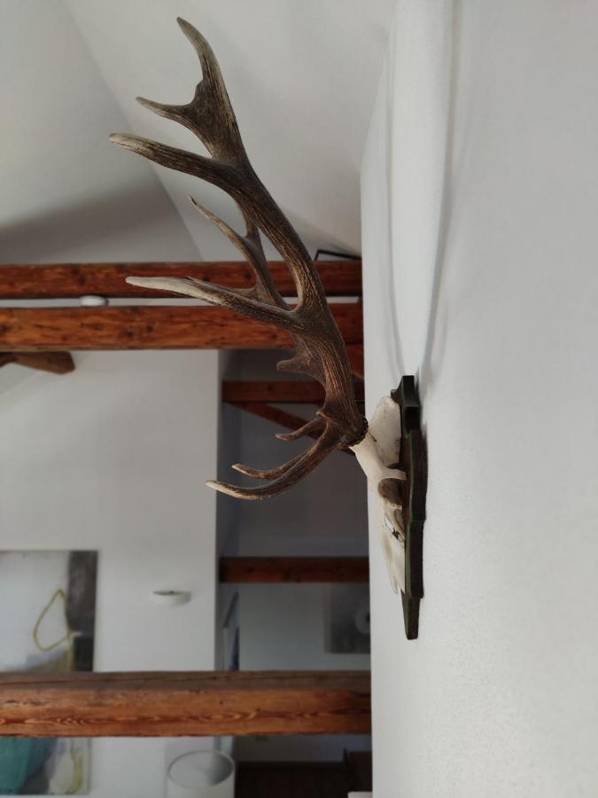 Saegemuehle Eschachthal Apartment Buchenberg  ภายนอก รูปภาพ
